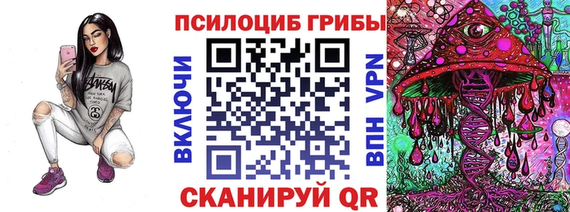 blacksprut Наро-Фоминск Псилоцибиновые грибы Psilocybe дарнет шоп